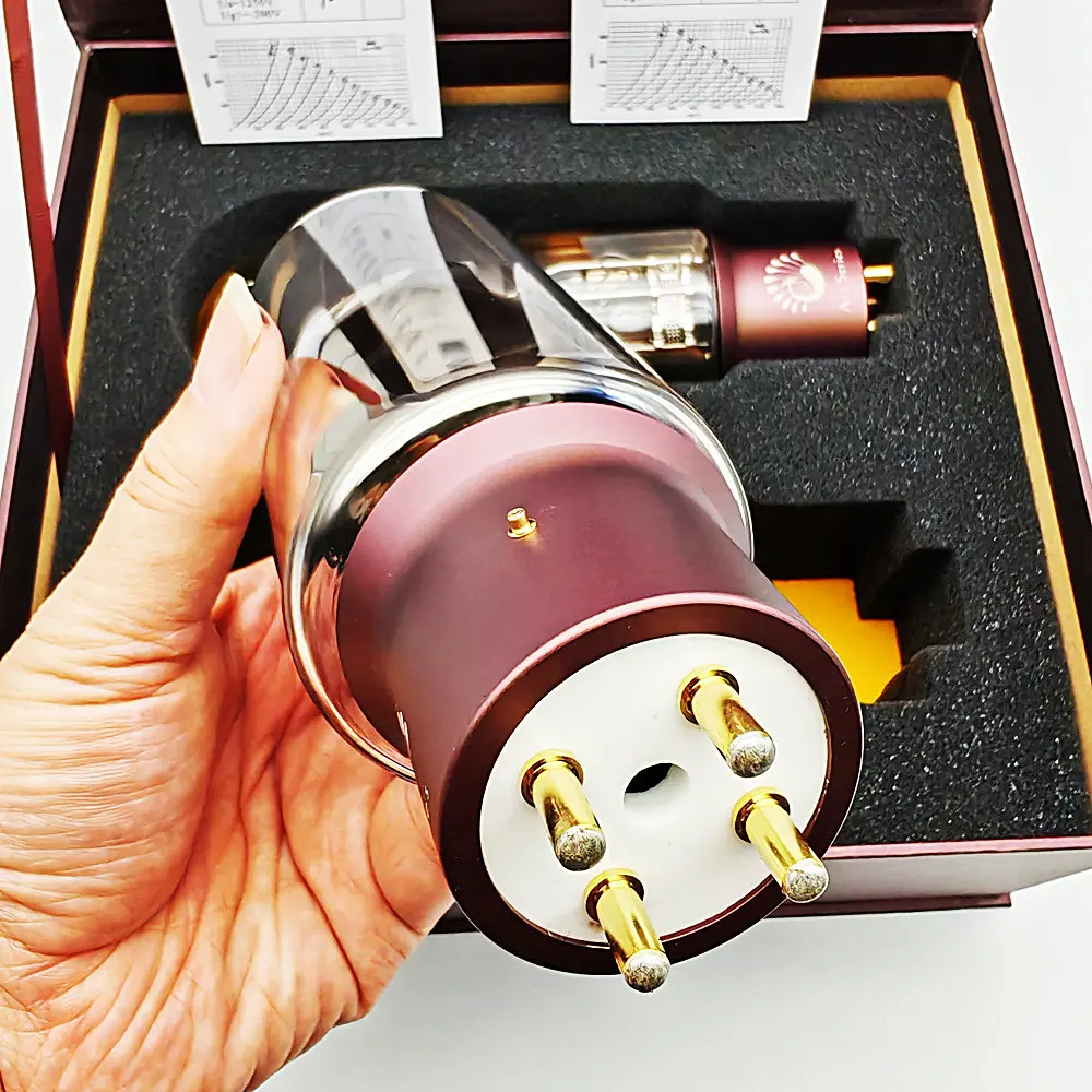 FEIYUE AMP PSVANE ART 845 Vacuum Tube Upgrade WE845 845B 845T 845C HIFI Audio Valve Electronic Tube Amplifier Kit Diy Matched 3