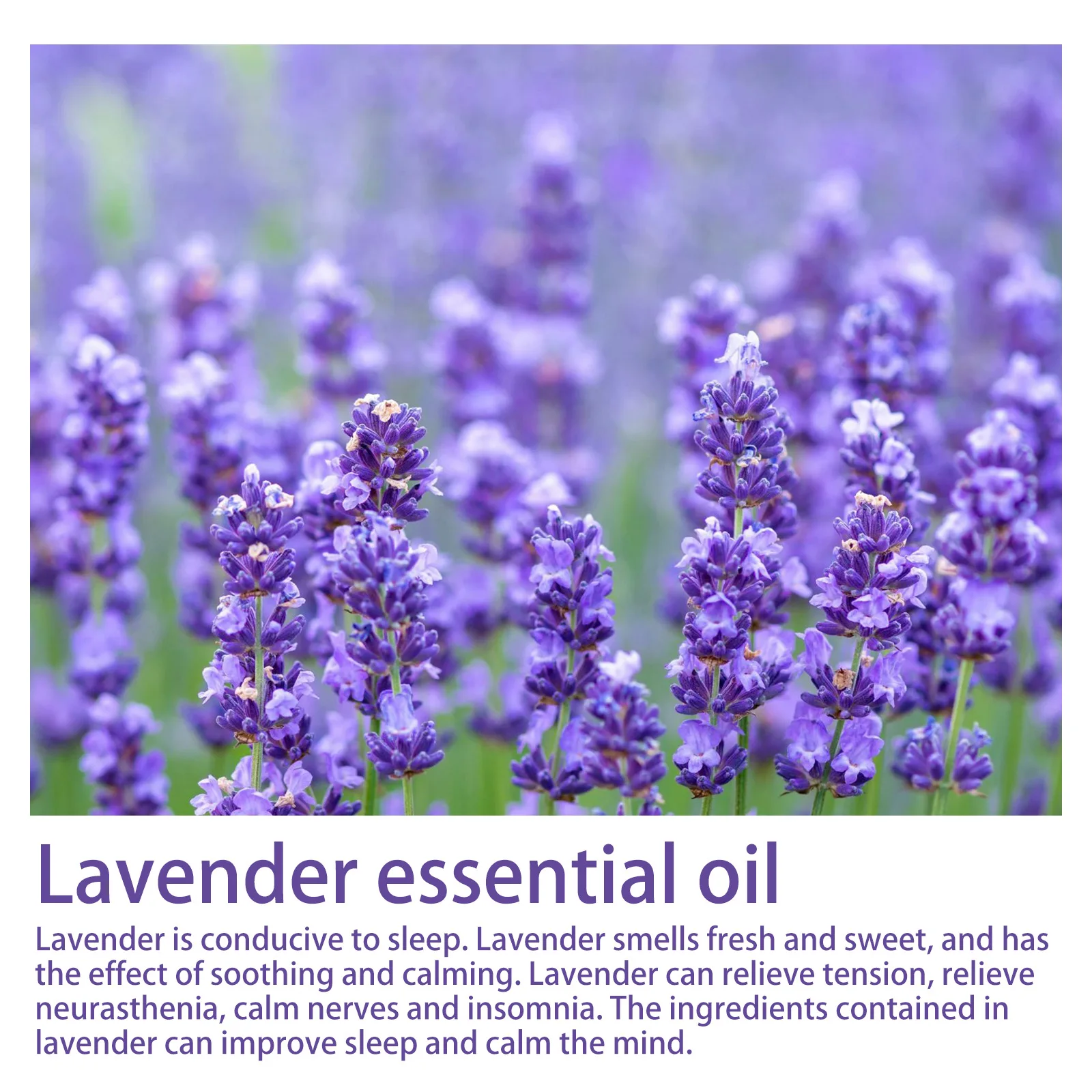 Lavender Sleep Spray | Aromatherapy Mist for Deep Sleep | Dream Tech