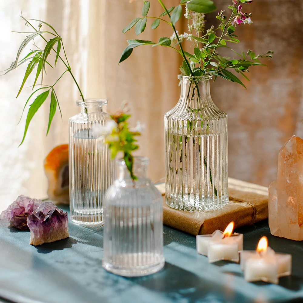 Small Transparent Flower Vase Mini Glass Vase Hydroponic Plant Bud Vase Nordic Home Decor Living Room Table Terrarium Decoration 4