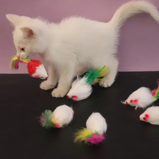 5pcs Kitten Toys Plush Simulation Mouse Interactive Cat Furry Pet Interactive Toy Supplies Cats Playing Scratch Training Game 5pcs Kitten Toys Plush Simulation Mouse Interactive Cat Furry Pet Interactive Toy Supplies Cats Playing Scratch Training Game