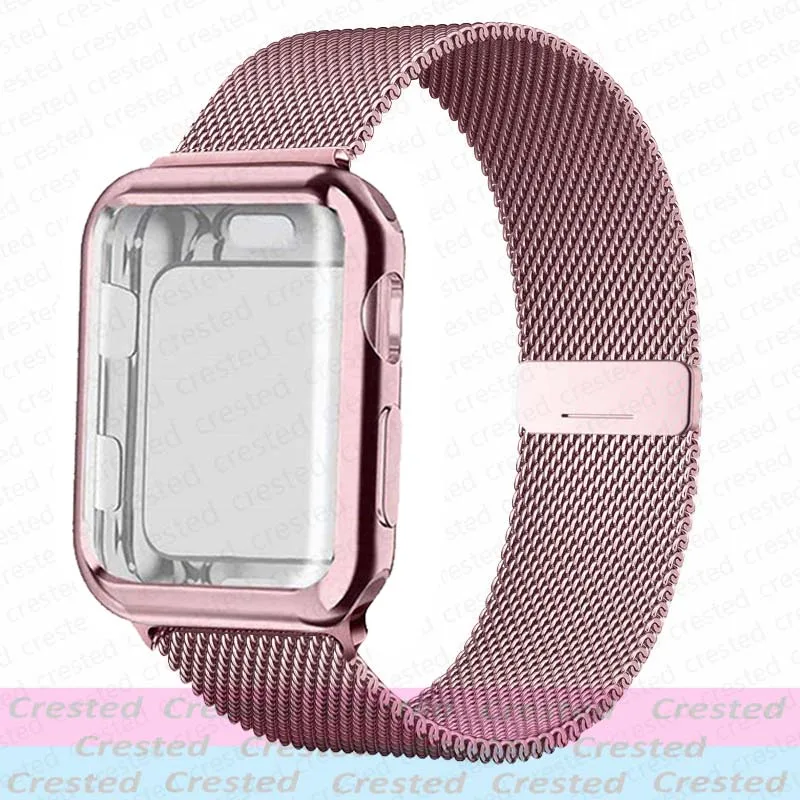 Elegant Stainless Steel Milanese Loop Watch Strap and Case