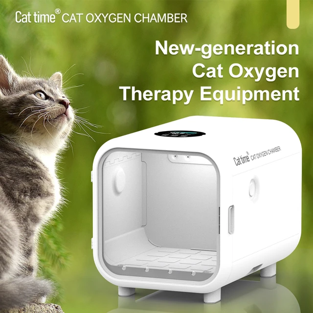 Oxygen Therapy For Cats At Home Purchase Sale medicarekliniek.be