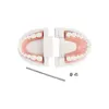 Adult Typodont Demonstration Denture Model Standard Teeth Model Dentistry Lab Material for Teaching Learning Clinic Instrument 2