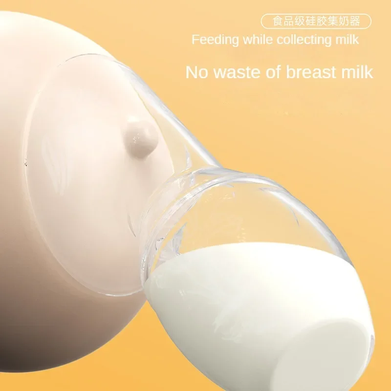      Ʈ  , ڵ    Ǹ , PP BPA 