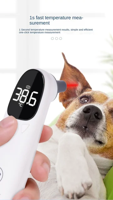 can i take my dogs temperature with a human thermometer