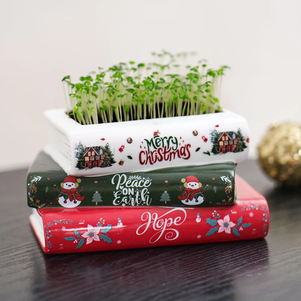 Flower Pot Small Ceramic Book-Shaped Planter with Hole Cute Bookshelf Decor Home Desk Decoration Accessories Office Living Room