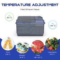 Nl30;NL40;NL50 Alpicool Холодильник для кемпинга Компрессор переменного/постоянного тока 12 В Автомобильный холодильник Портативный мини-холодильник Морозильники для улицы — изображение 2