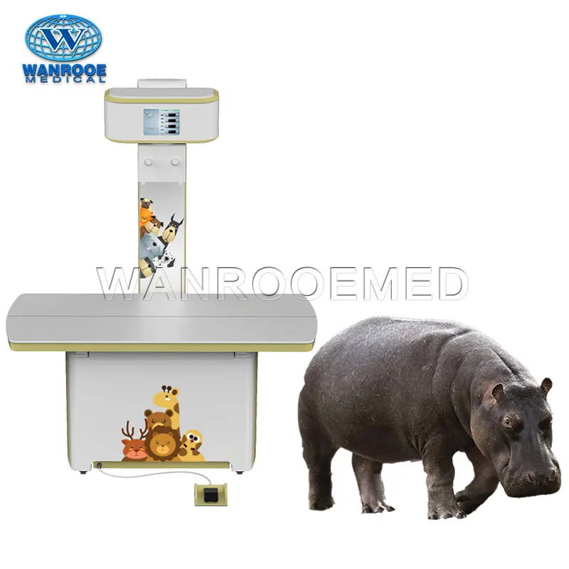 Рисунок 6 - Ветеринарный высокочастотный панорамный