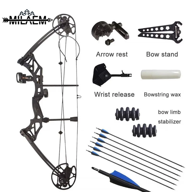 Archery Compound Bow Kit 3070 Lbs Adjustable Ibo 320fps Outdoor