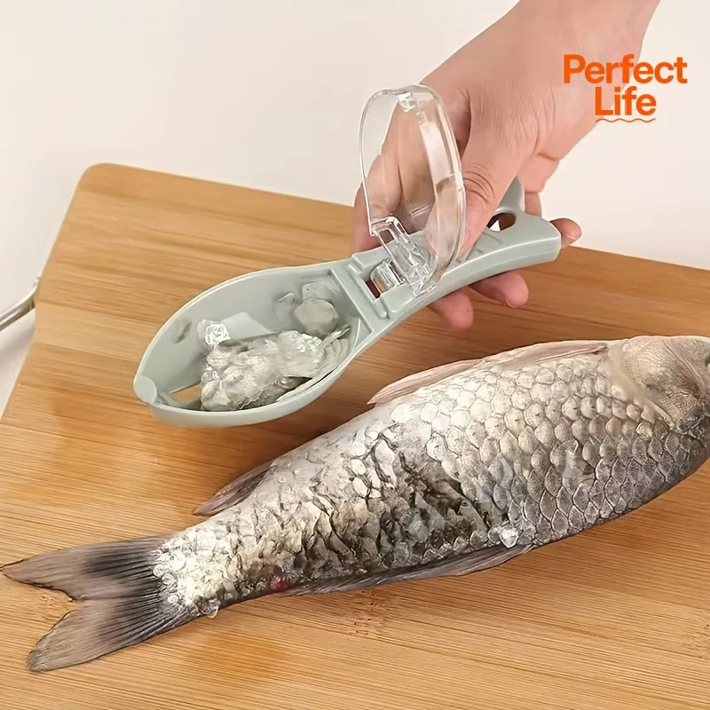 Grattoir à écailles de poisson en plastique - outil de nettoyage facile pour cuisine et poissonnerie - brosse à écailles