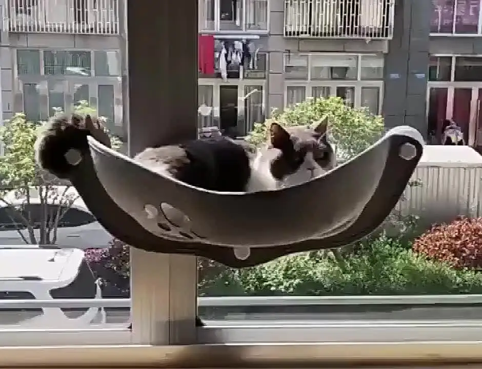 Kattenraamhangmat met sterke zuignappen. Hangend slaapbed voor katten. Opbergruimte voor warme frettenkooi. Kattenplank. Zacht en comfortabel ontwerp - productkenmerken