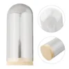 10/12/18cm Clear Glass Hemisphere Cover Glass Display Bell Jar With Wooden Base For Flower Succulent Plant Vase Wood Table Decor 4