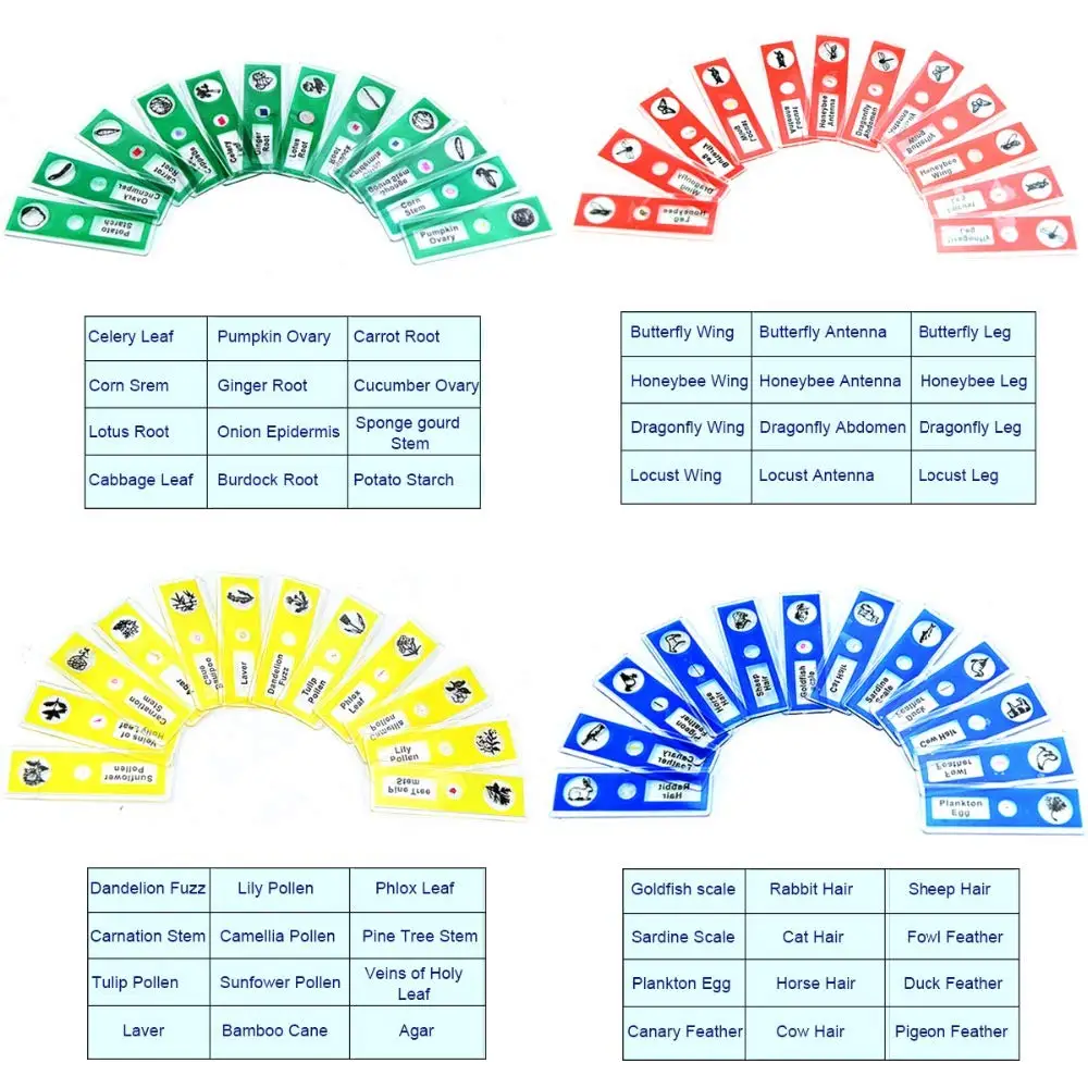 RIEVBCAU 48 Pcs Prepared Plastic Microscope Slides Set Specimen Biological For Children Student Enlighten Education