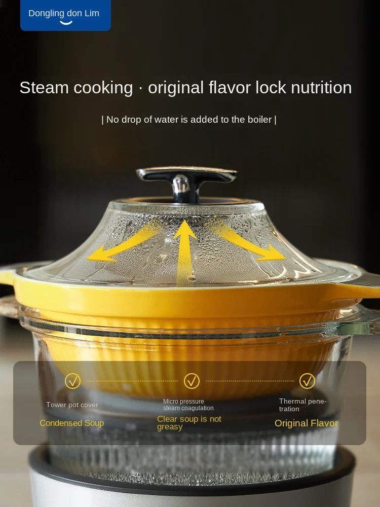 Donlim DL-9009 Electric cooker for home reservation soup pot with waterproof stew pot Multi-function automatic electric cooker