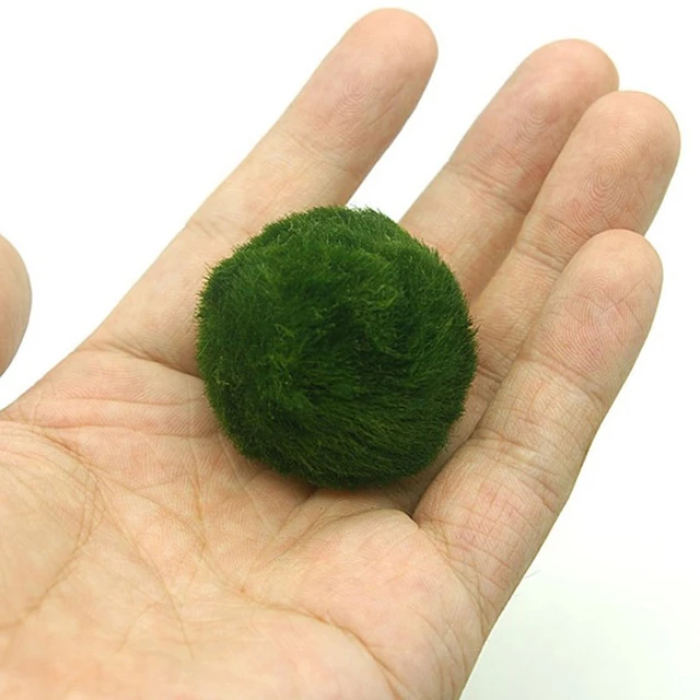 2pcs Moss Balls Live Aquarium Plants Natural Green Moss Balls