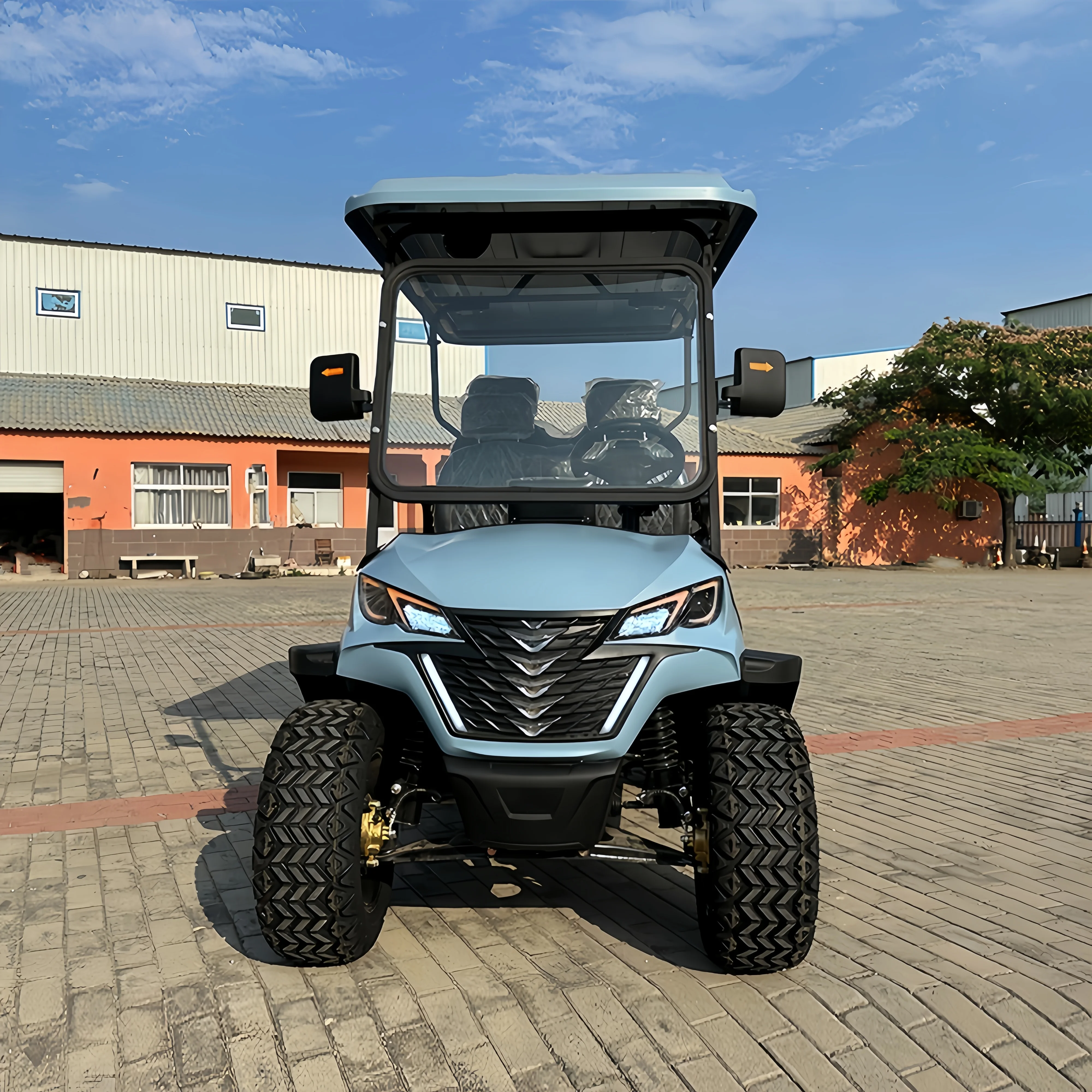 Electric Push Golf Cart Golf Cart Buggy Club Factory Direct , On Sale