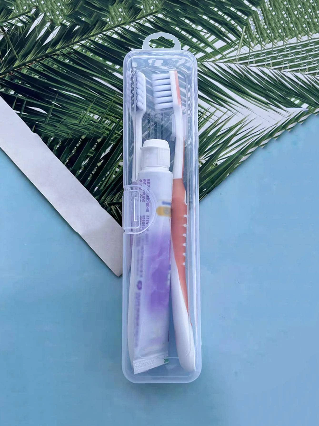 Clear Portable Toothbrush Storage Box 1pc For Outdoor