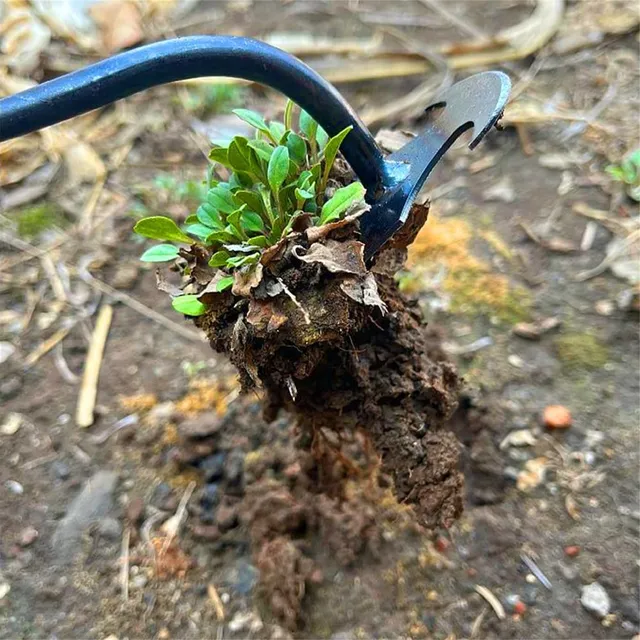 Kapás Gyomláló Műtárgy Kiürített Fűszerszámok Kerti Kapa Edény Acél Farm Szerszámok Kis Meglazítják A Talaj Vad Zöldségeit - Image 3