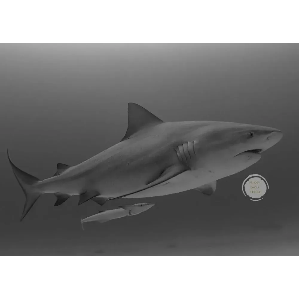 Great White Shark Ocean Giants Canvas Art - Nature Wall Decor Poster