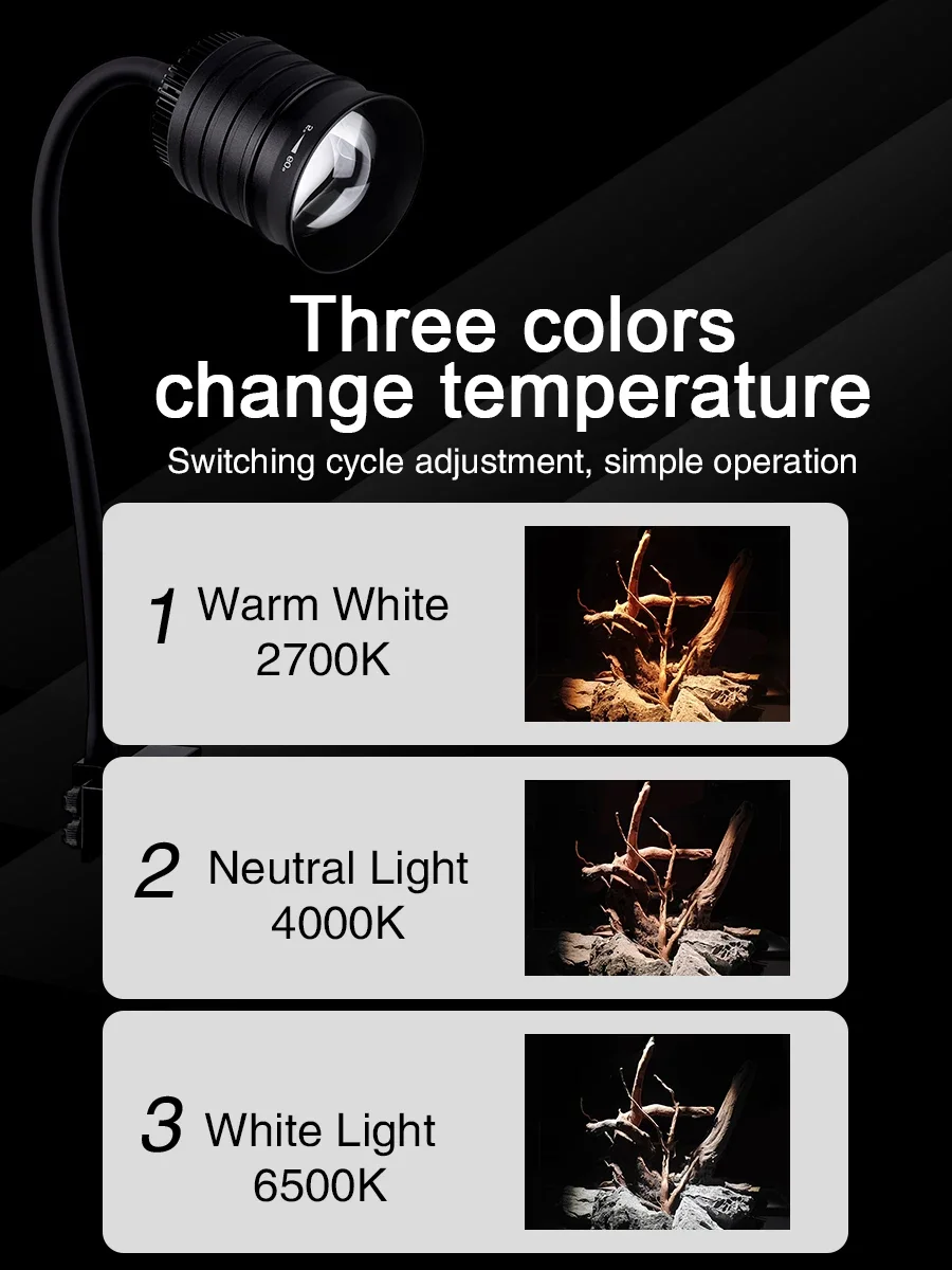 WEEKAQUA NP10 ü Ʈ  Ǹ  ƮƮ, 5 - 60  