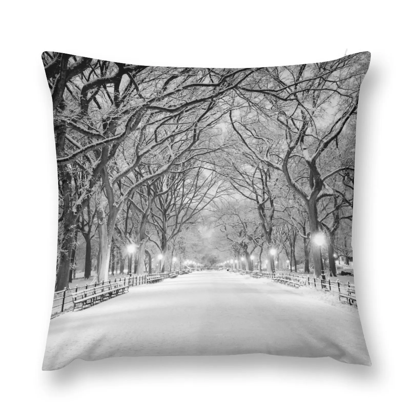 

Cental Park New York, NYwinter scene Throw Pillow Plaid Sofa Decorative Cushions For Luxury Sofa