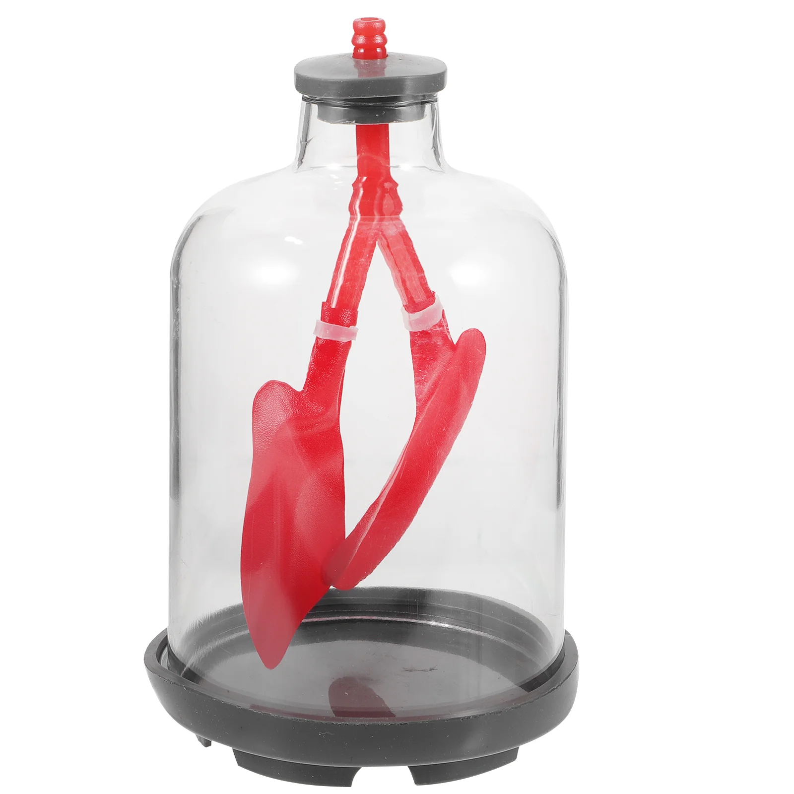 

Models Lung Breathing Physiological Teaching Aid Function Demonstration Display Respiratory System Educational Work