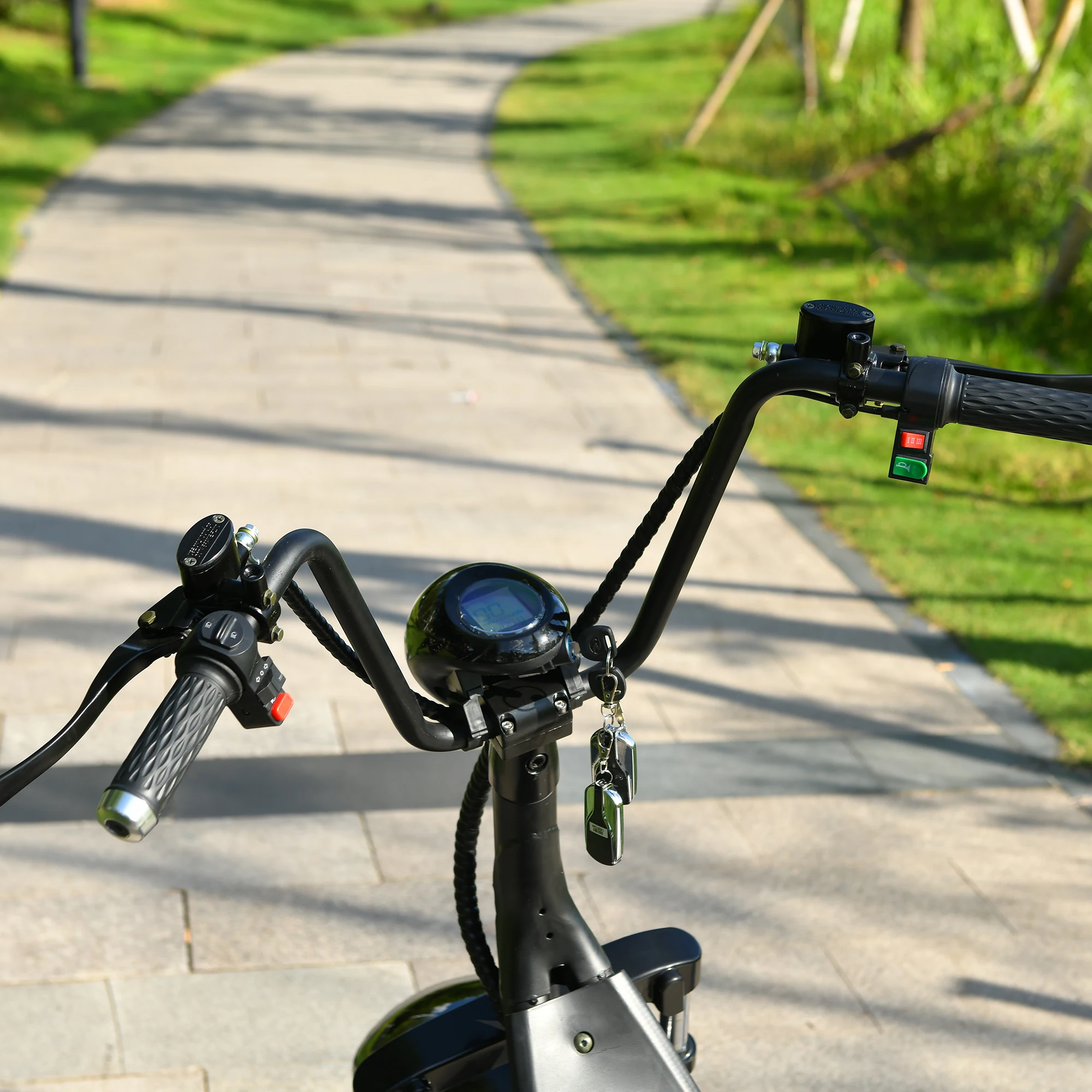 Рисунок 3 - Скутер Citycoco, 60 в 20 Ач, 3000