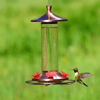Elegant Copper Glass Hummingbird Feeder 12oz 4 Feeding Ports Wide Mouth Easy Clean Bee Guard Garden Decor 6
