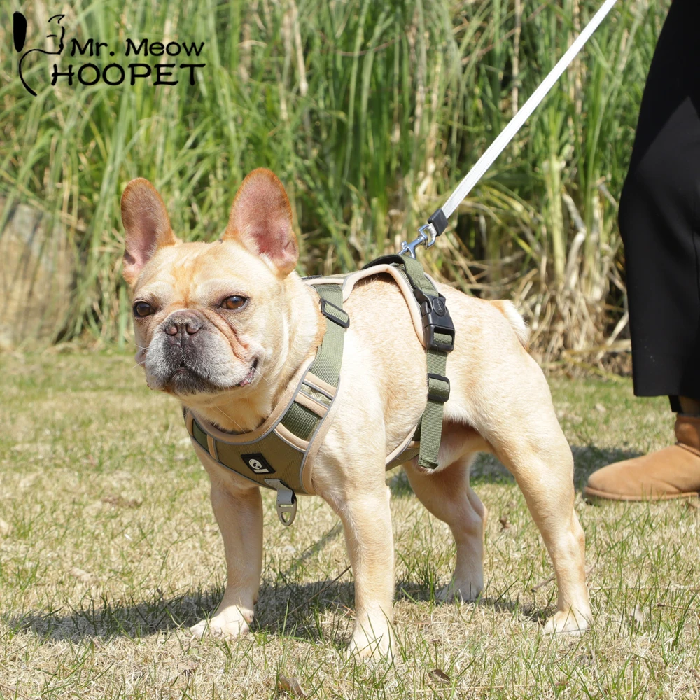 

Hoopet Dog Traction Rope Medium-sized Large Dog Dog Chain Walking Dog Vest Type Dog Rope Golden Retriever Labrador Chest Strap