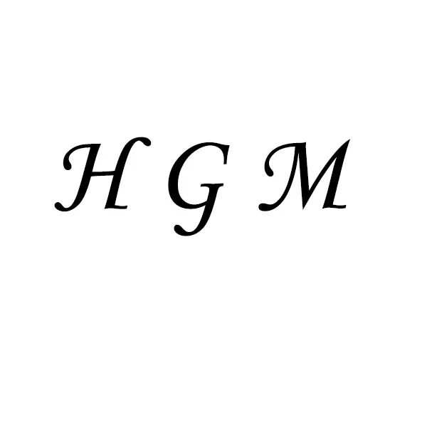 HGM Technology Store