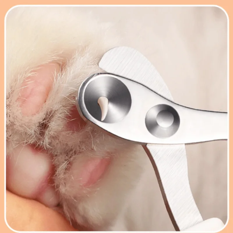Professional Cat Nail Clippers for Small Cat Dog Stainless Steel Puppy Claws Cutter Pet Nall Grooming Clippers Trimmer 5