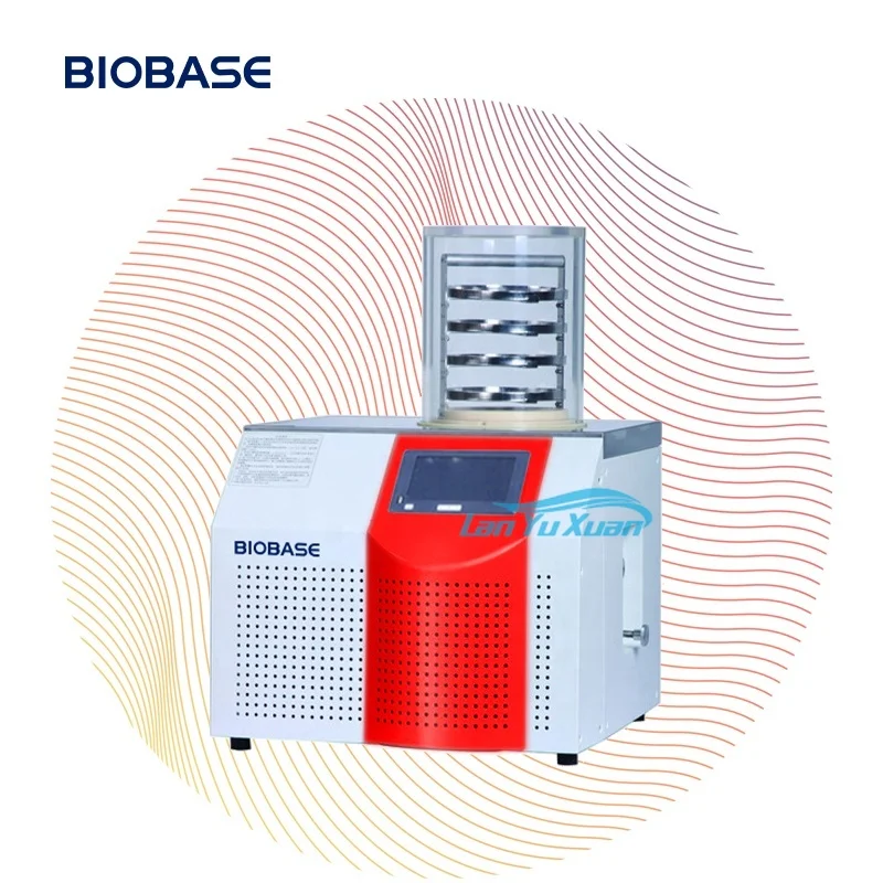 

Fruit Vacuum Drying Machine Food Dehydrator Freeze Dryer with Factory Price