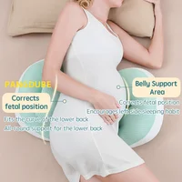 PANGDUBE Pregnancy Pillow with 1pc Free An Auxiliary Pillow Cotton Waist Support Pillow for Pregnant Women Sleeping Body Pillow 2