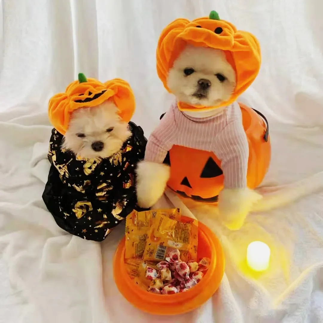 

Halloween Pet Cat Cute Pumpkin Hats Kitten Cosplay Costumes Accessories Kawaii Dress Up Photography Props Headgear for Cats Dogs