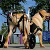 Silla de ruedas grande para perros, entrenamiento para la parálisis por espondilitis