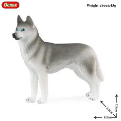 Oenux Farm Dogs Pet Figurines - Rottweiler, Collie, Huskie, Bulldog, Schnauzer Collectible Set - Cute Home Decoration and Kids Toy (1 piece)