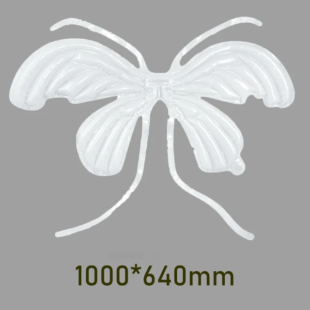 Image 16