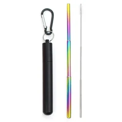 Eco - Conscious Collapsible Stainless Steel Telescopic Drinking Straw with Brush (I)