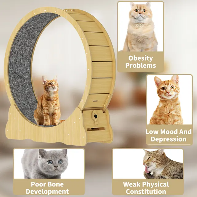 Cat Treadmill VEVOR Cat Exercise Wheel, Large Wheel Hamster