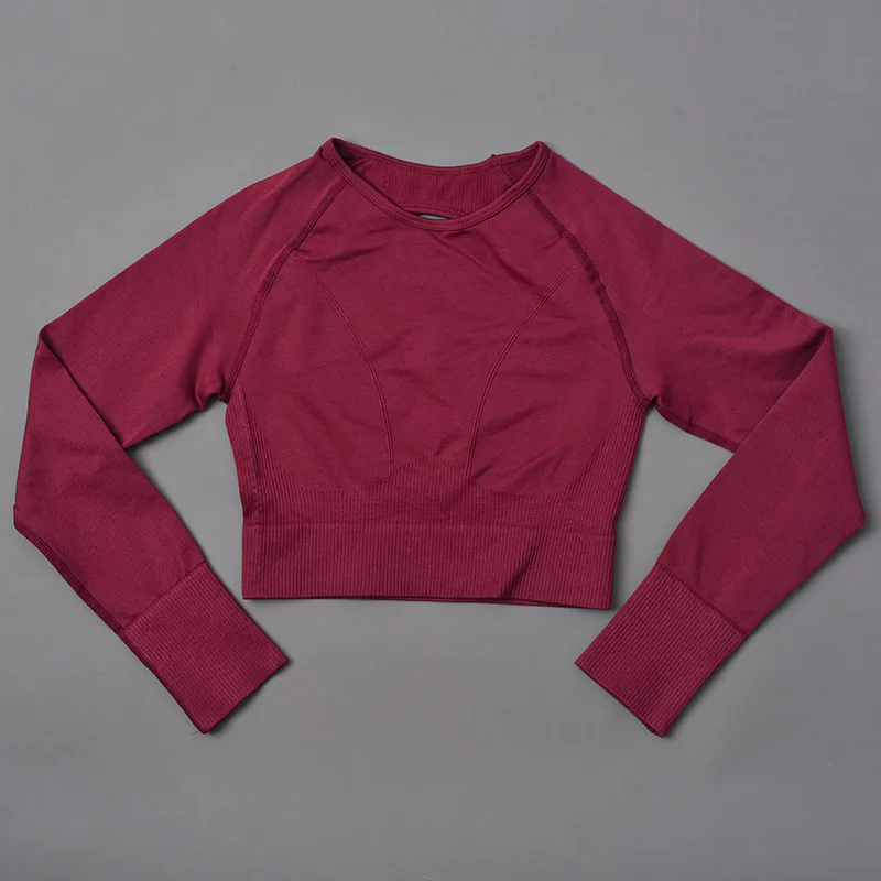 Yoga Top Yoga Shirt Seamless Yoga Shirts Crop Top Long Sleeves Women Yoga Sports Fitness Gym Workout