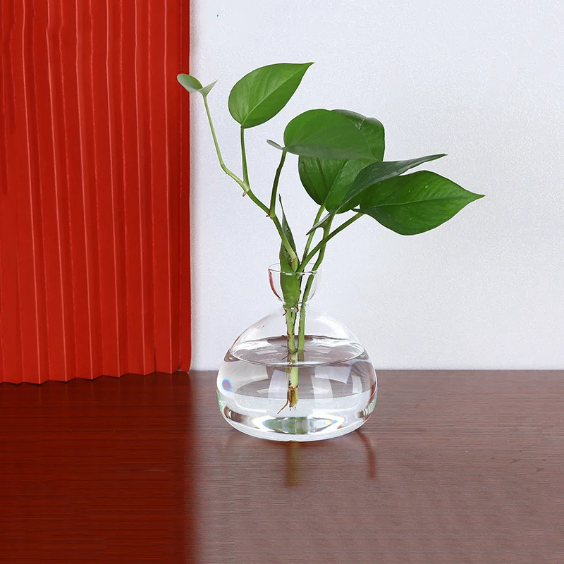 Avocado Seed Starter Vase Transparent Glass Vase For Growing Plant Glass Seed Growing Kit For Gardening Lovers