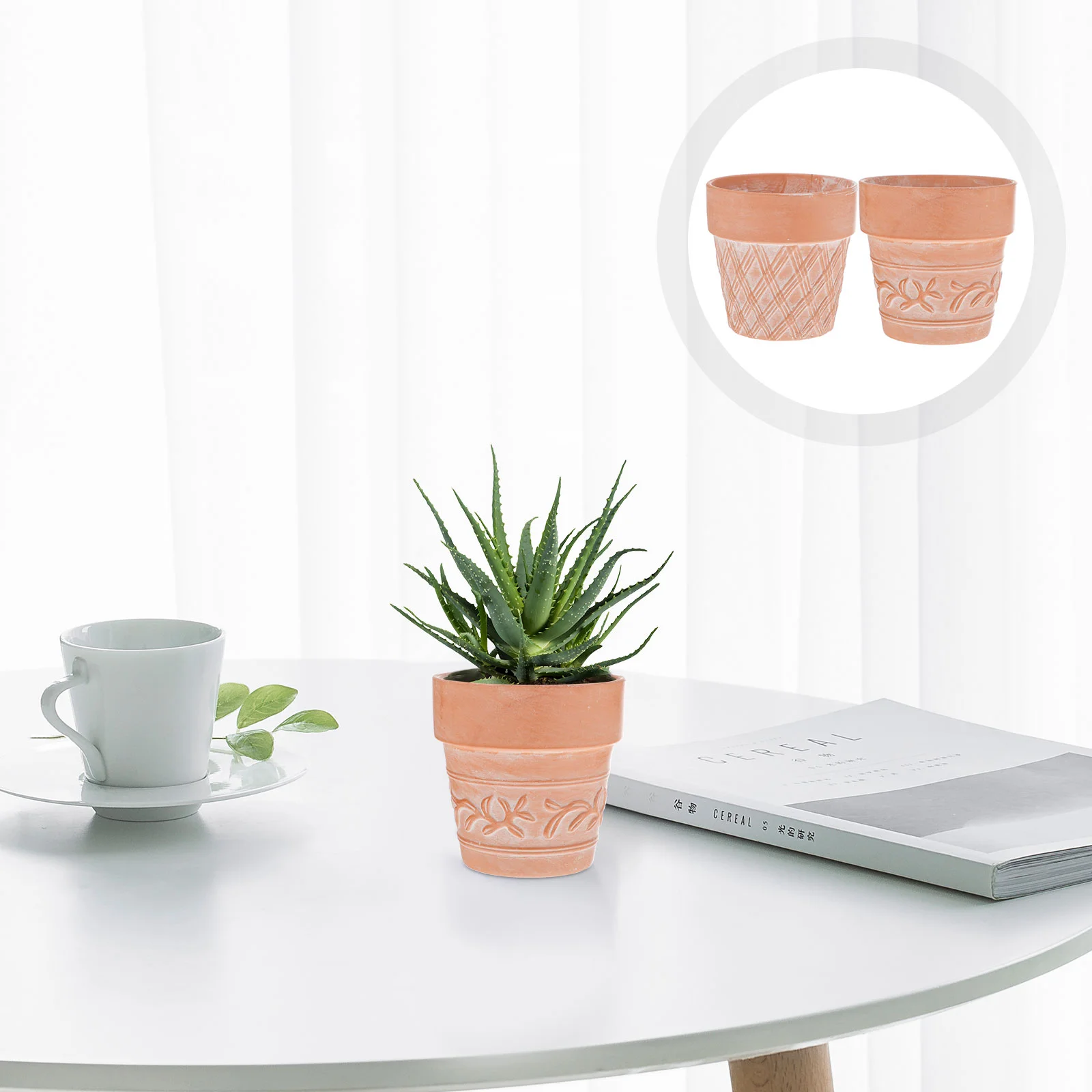 

2 Pcs Terracotta Flower Pot Succulent Planter Pots for Plants Desk Tabletop Decoration Ceramics