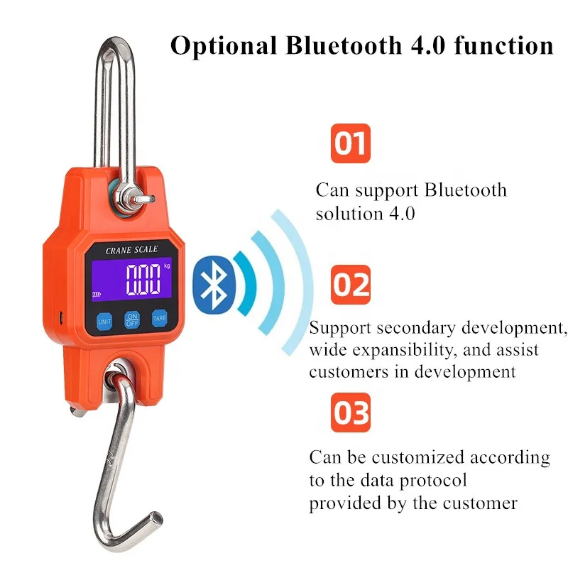 Balance électronique industrielle 300kg Bluetooth crochet grue pêche lourde charge précision 50g affichage numérique