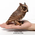 Big Owl -3