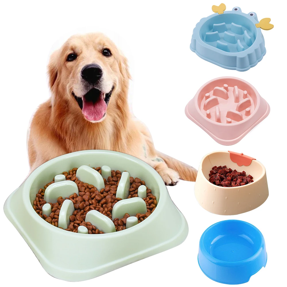 Dog Is Choking On Food