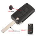 3B Trunk HCA Ce0536