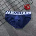 Image 4