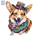 GOU-37-A3