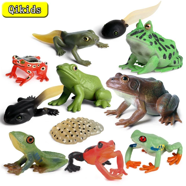 Realistic Wild Amphibian Action Figures Treefrog Bullfrog Toadfrog Plastic  Frog Model Toys Cognitive Ornament Toys Gift For Kids - AliExpress