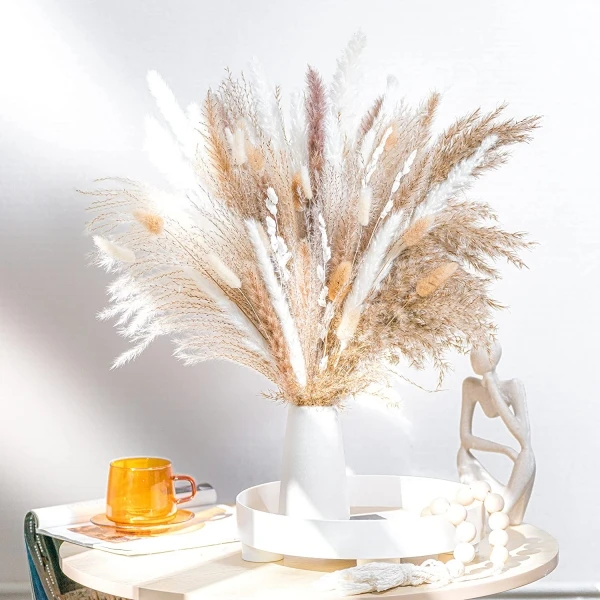 Natural Dried Flowers Store